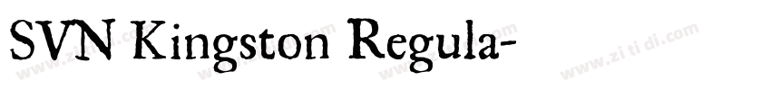SVN Kingston Regula字体转换